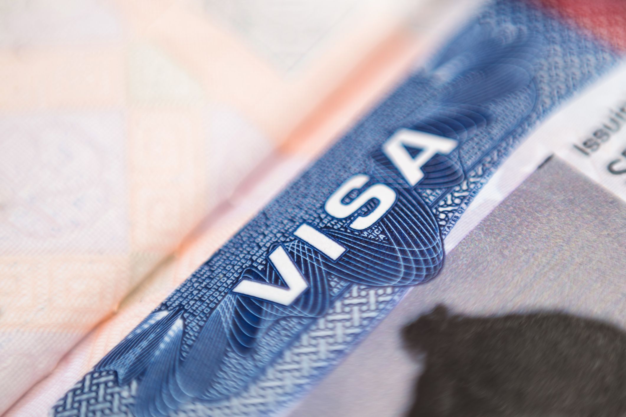 $ 3.800 Flüge und abgebrochene Starts: Wie Trumps H-1B-Ankündigung Tech-Arbeiter in Panik versetzte